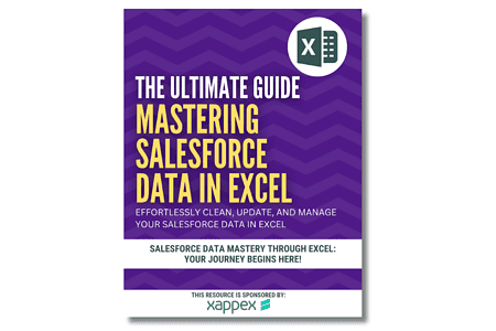 Illustrative guide on managing Salesforce data in Excel, highlighting techniques for effective data organization and manipulation.